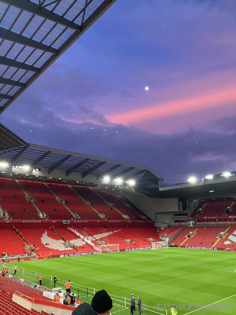 哈兰德：终于能畅谈世界杯了，我已经憋了好几个星期了（哈兰德：几周的沉默后，终于可以畅谈世界杯）